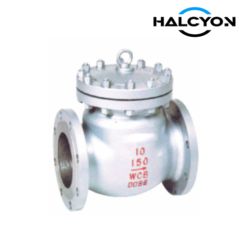 Class 150/300/600 Swing Check Valve